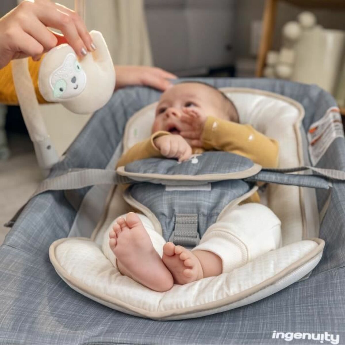 Ingenuity Baby Hammock Ingenuity Happy Belly Grey